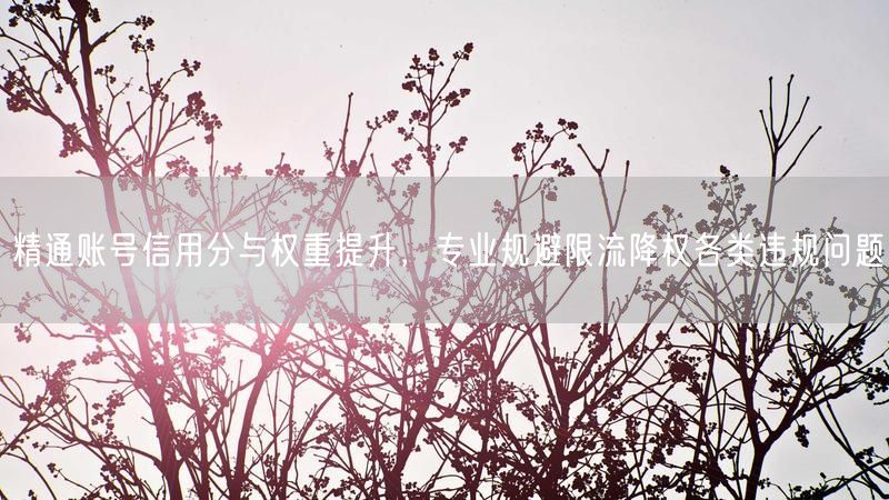 精通账号信用分与权重提升，专业规避限流降权各类违规问题