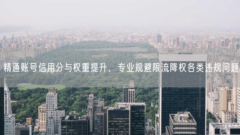 精通账号信用分与权重提升，专业规避限流降权各类违规问题