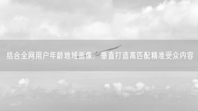 结合全网用户年龄地域画像，垂直打造高匹配精准受众内容