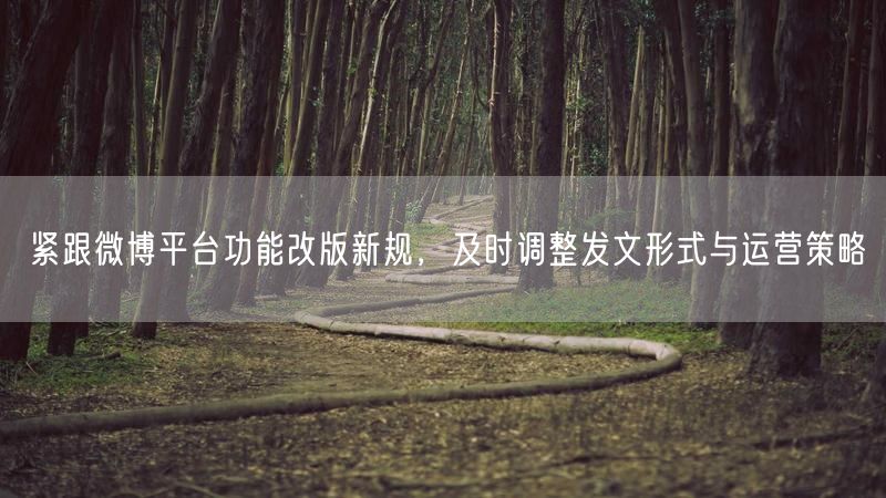 紧跟微博平台功能改版新规，及时调整发文形式与运营策略