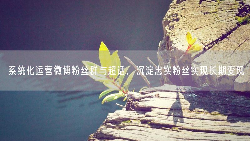 系统化运营微博粉丝群与超话，沉淀忠实粉丝实现长期变现