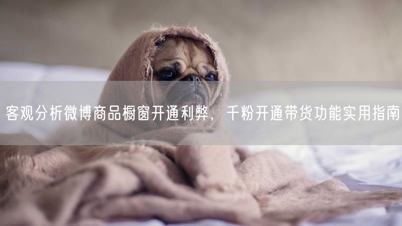 客观分析微博商品橱窗开通利弊，千粉开通带货功能实用指南