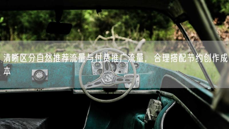 清晰区分自然推荐流量与付费推广流量，合理搭配节约创作成本