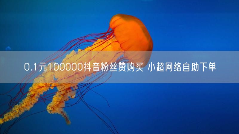 0.1元100000抖音粉丝赞购买 小超网络自助下单