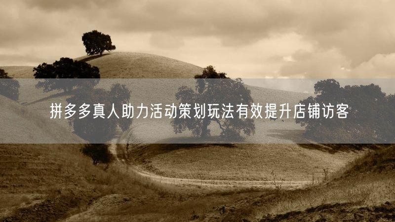 拼多多真人助力活动策划玩法有效提升店铺访客