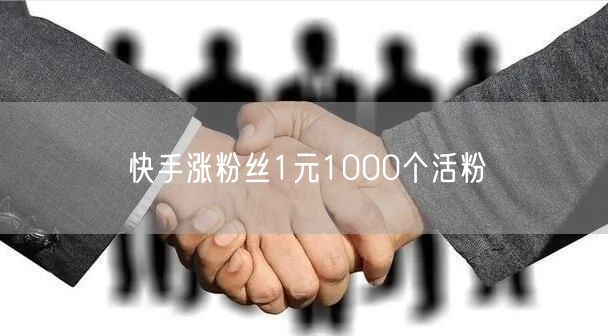 快手涨粉丝1元1000个活粉