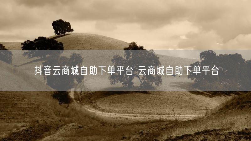 抖音云商城自助下单平台 云商城自助下单平台