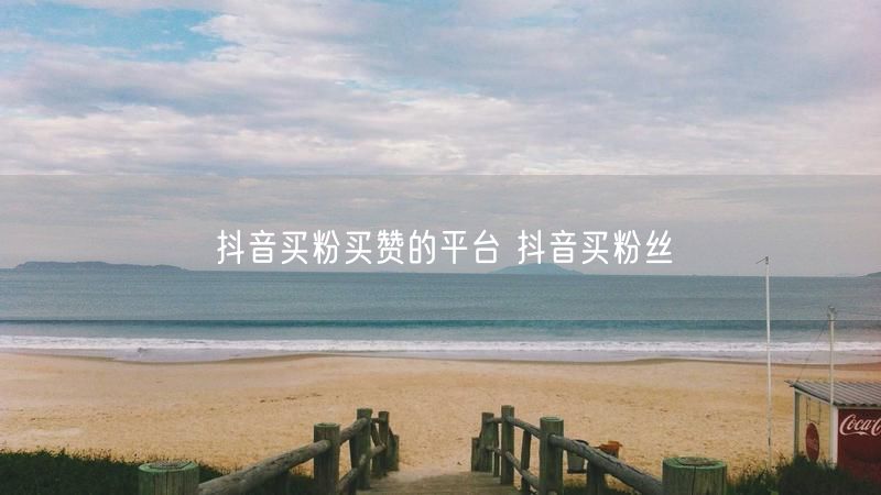 抖音买粉买赞的平台 抖音买粉丝