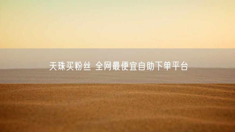 天珠买粉丝 全网最便宜自助下单平台
