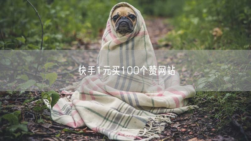 快手1元买100个赞网站