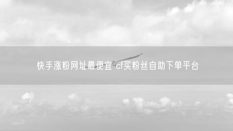 快手涨粉网址最便宜 cf买粉丝自助下单平台