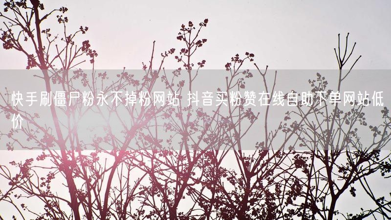 快手刷僵尸粉永不掉粉网站 抖音买粉赞在线自助下单网站低价