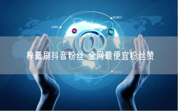 梓豪刷抖音粉丝 全网最便宜粉丝赞