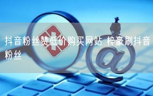 抖音粉丝赞低价购买网站 梓豪刷抖音粉丝