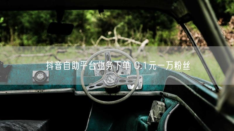 抖音自助平台业务下单 0.1元一万粉丝