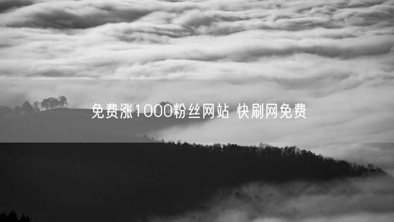 免费涨1000粉丝网站 快刷网免费