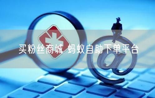 买粉丝商城 蚂蚁自助下单平台