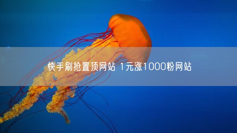 快手刷抢置顶网站 1元涨1000粉网站