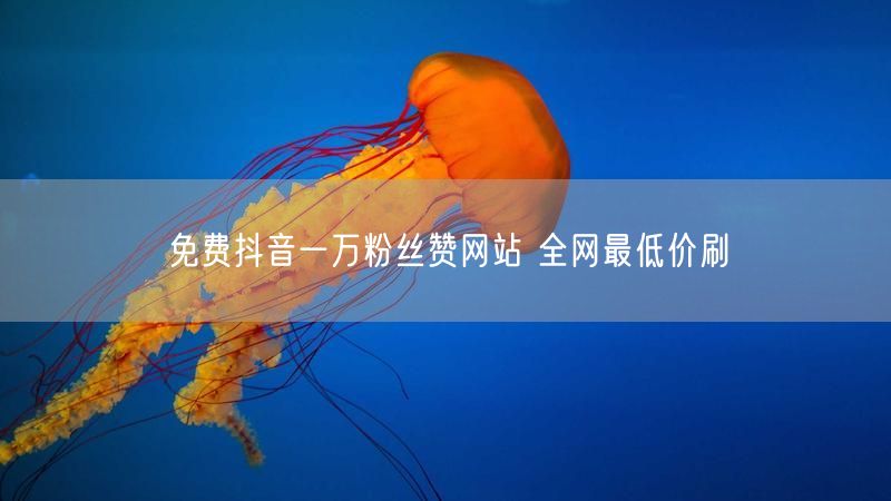 免费抖音一万粉丝赞网站 全网最低价刷