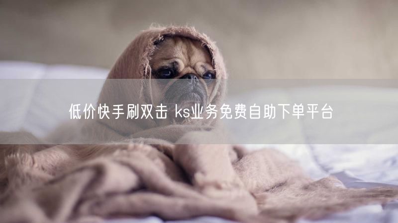 低价快手刷双击 ks业务免费自助下单平台