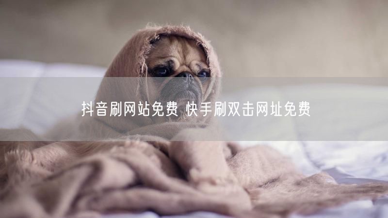 抖音刷网站免费 快手刷双击网址免费