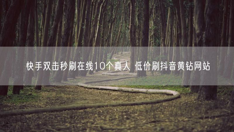 快手双击秒刷在线10个真人 低价刷抖音黄钻网站