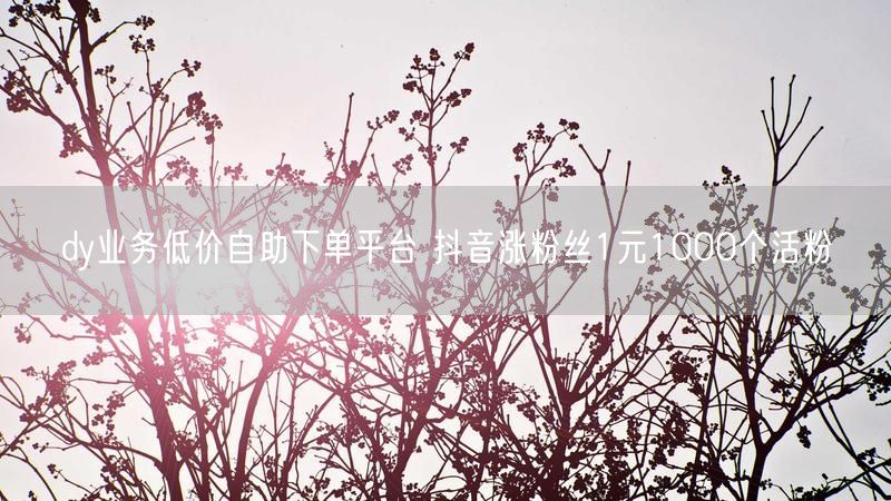 dy业务低价自助下单平台 抖音涨粉丝1元1000个活粉