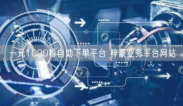 一元1000粉自助下单平台 梓豪业务平台网站