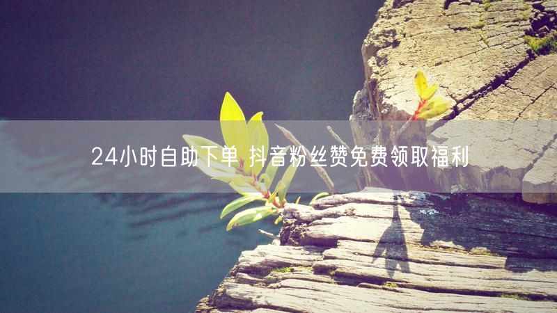 24小时自助下单 抖音粉丝赞免费领取福利