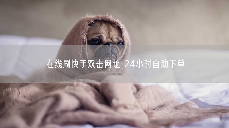 在线刷快手双击网址 24小时自助下单