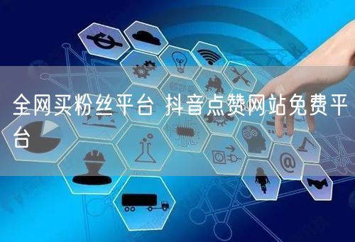 全网买粉丝平台 抖音点赞网站免费平台