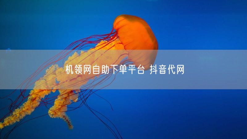 机领网自助下单平台 抖音代网