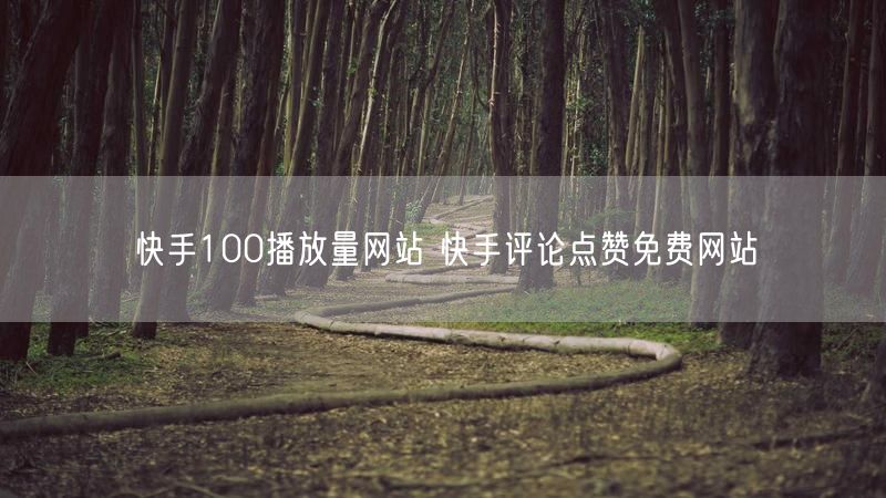 快手100播放量网站 快手评论点赞免费网站