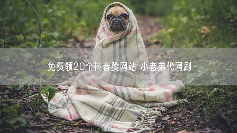免费领20个抖音赞网站 小老弟代网刷