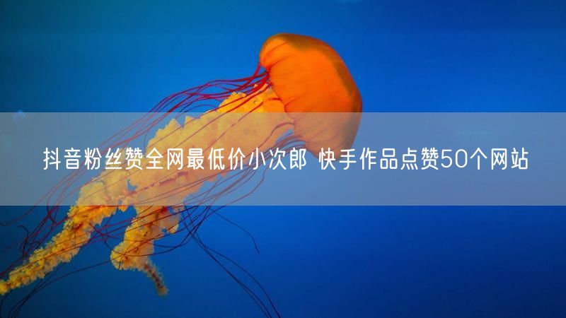 抖音粉丝赞全网最低价小次郎 快手作品点赞50个网站