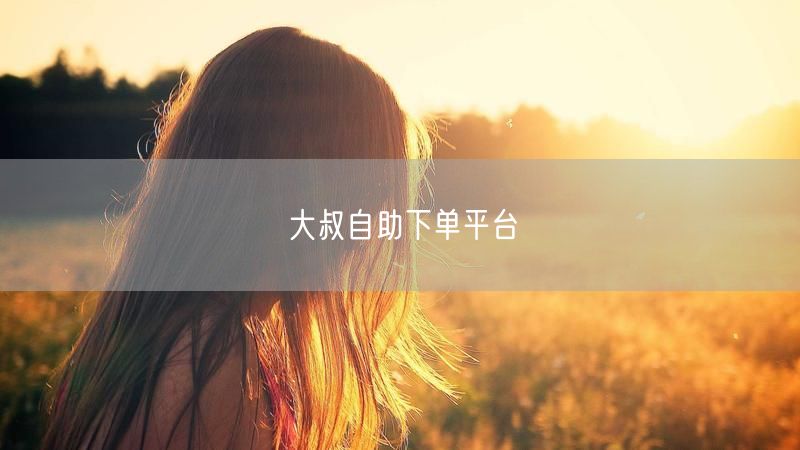 大叔自助下单平台