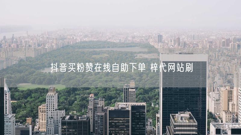 抖音买粉赞在线自助下单 梓代网站刷