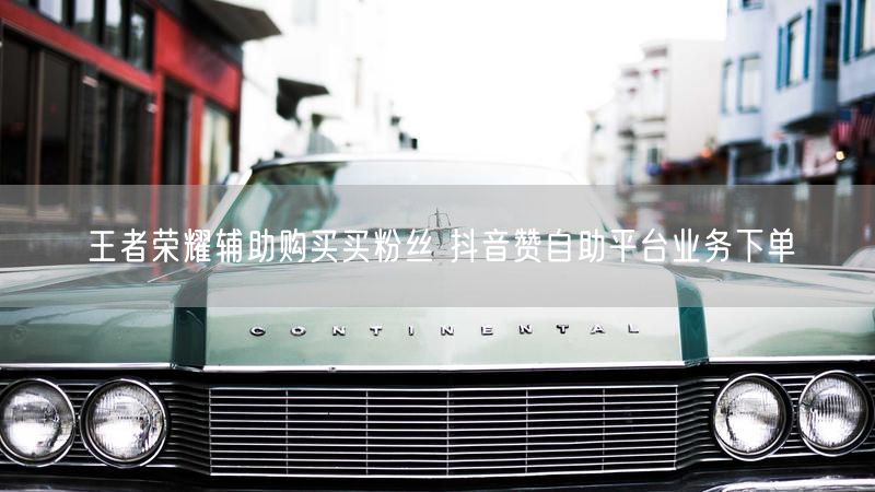 王者荣耀辅助购买买粉丝 抖音赞自助平台业务下单