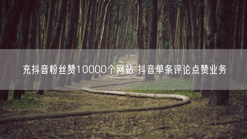 充抖音粉丝赞10000个网站 抖音单条评论点赞业务