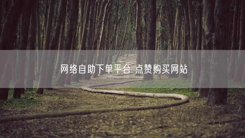 网络自助下单平台 点赞购买网站