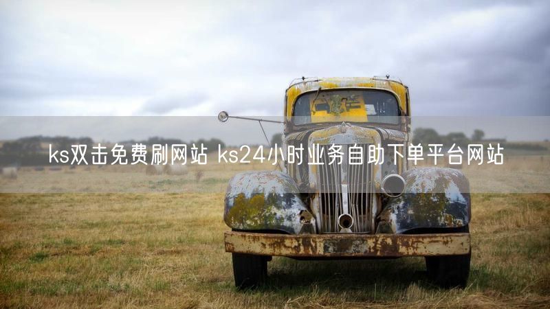 ks双击免费刷网站 ks24小时业务自助下单平台网站