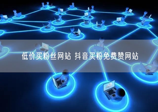 低价买粉丝网站 抖音买粉免费赞网站