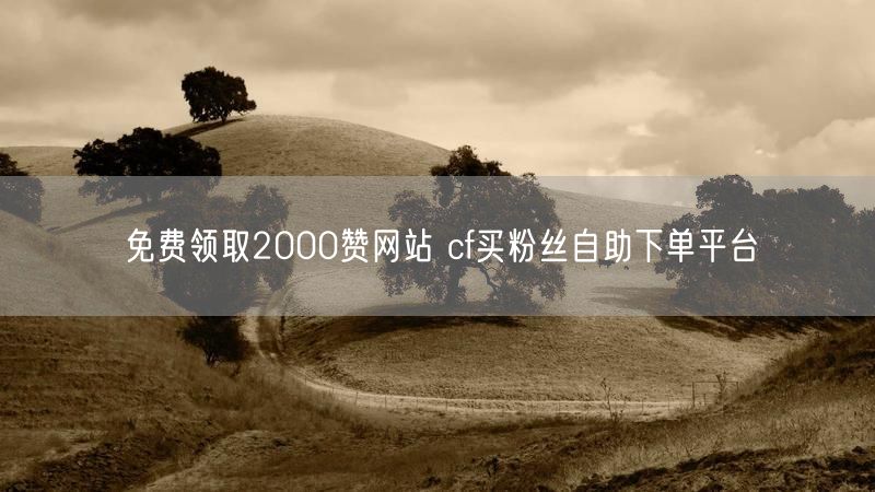 免费领取2000赞网站 cf买粉丝自助下单平台