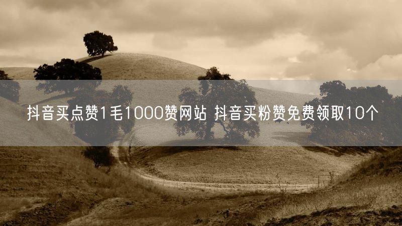 抖音买点赞1毛1000赞网站 抖音买粉赞免费领取10个