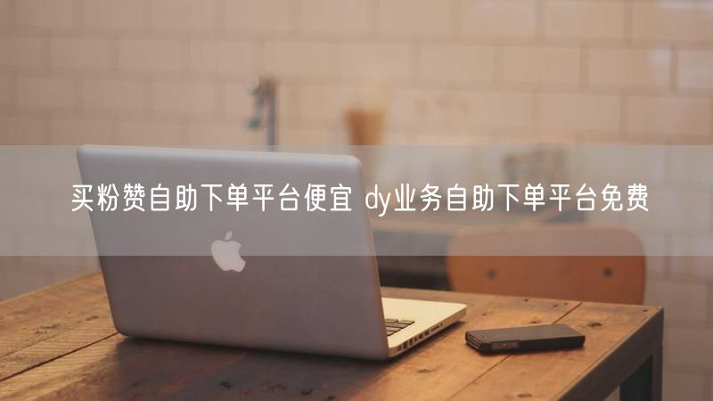 买粉赞自助下单平台便宜 dy业务自助下单平台免费