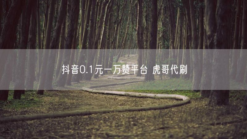 抖音0.1元一万赞平台 虎哥代刷