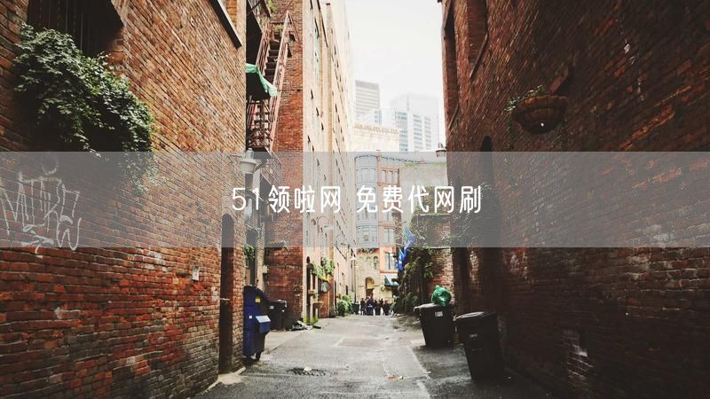 51领啦网 免费代网刷