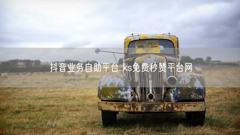 抖音业务自助平台 ks免费秒赞平台网