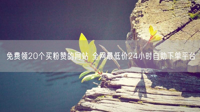 免费领20个买粉赞的网站 全网最低价24小时自助下单平台