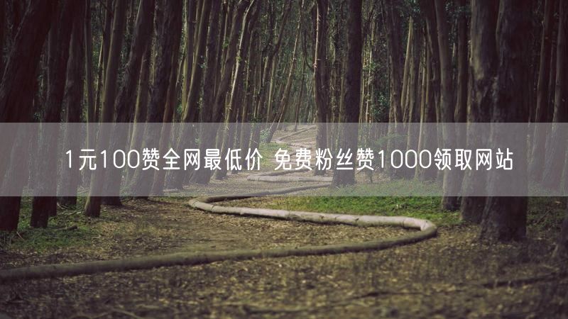 1元100赞全网最低价 免费粉丝赞1000领取网站